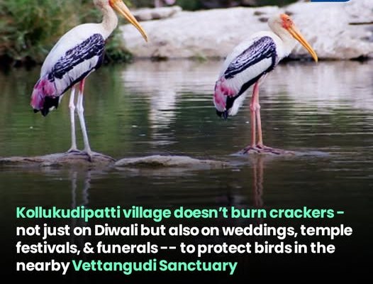 A Small Village, A Big Message for the World – Kollukudipatti